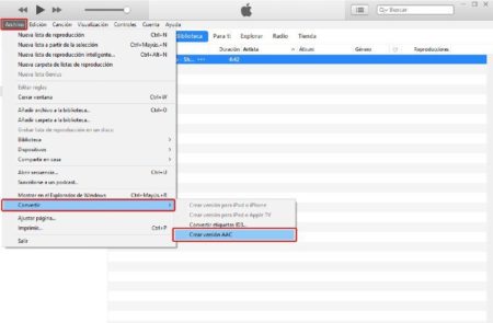 Paso 3. Formato AAC